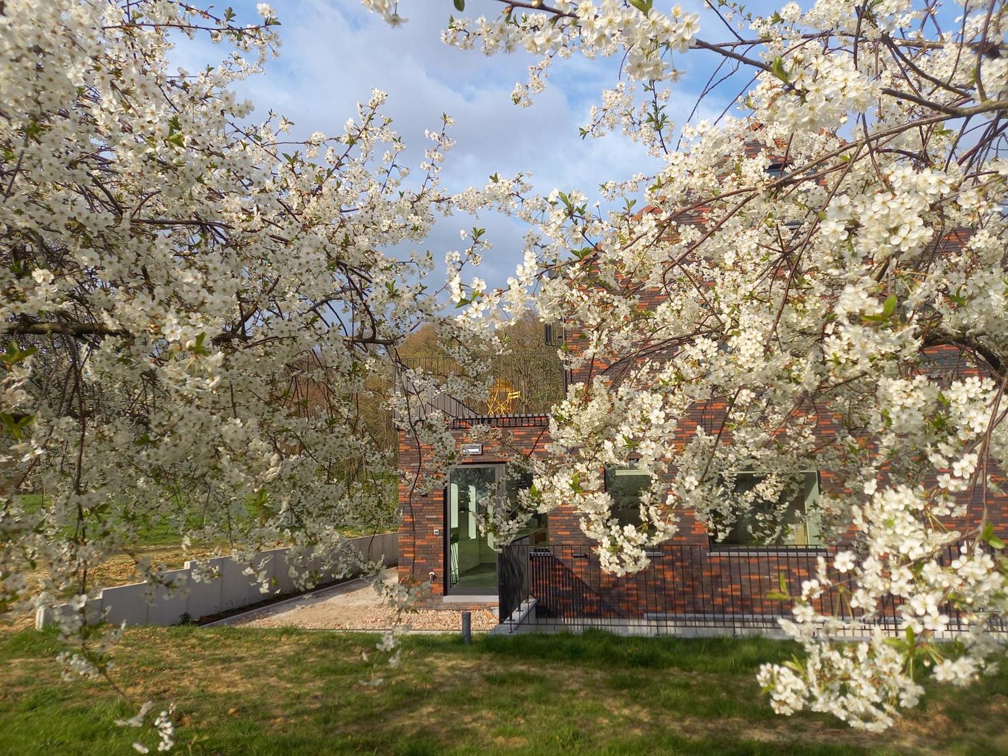 Trionfo Bed & Breakfast Gaasbeek Exterior photo